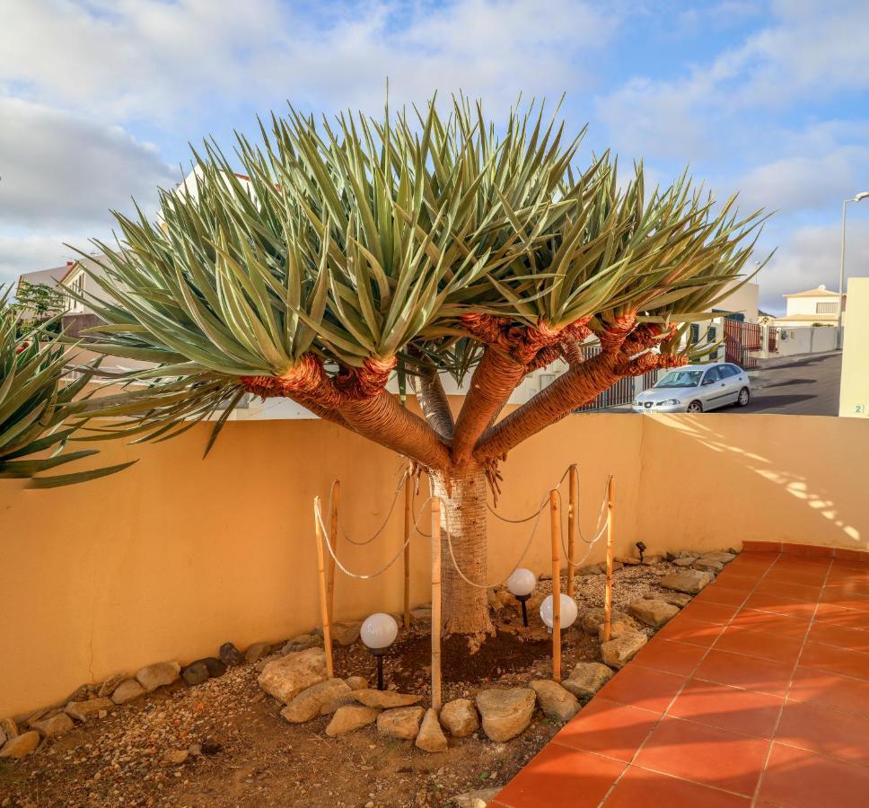 O Dragoeiro Da Madalena! Villa Porto Santo Exterior photo